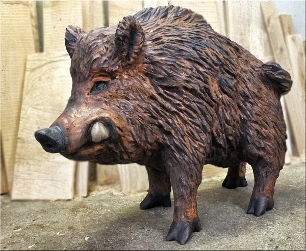 keiler wildschwein wild boar